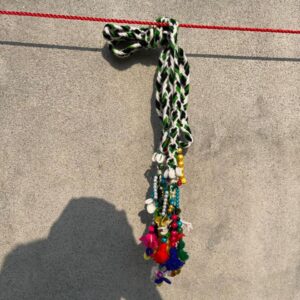 img 20251112 wa0012.jpg