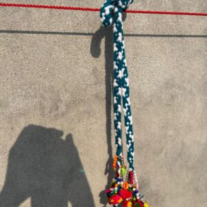 img 20251112 wa0013.jpg