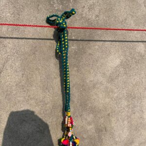 img 20251112 wa0014.jpg