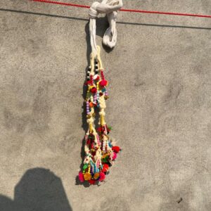 img 20251112 wa0018.jpg